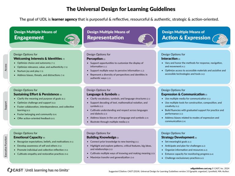 UDL 3.0 guidelines